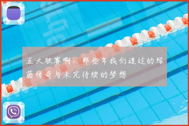 五大联赛啊,那些年我们追过的绿茵传奇与未完待续的梦想